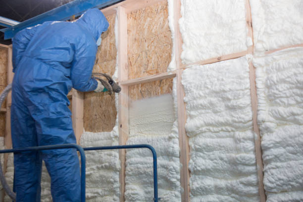  , USA Insulation Removal & Installation Pros